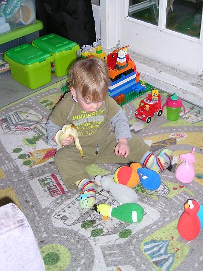 Imme 7 december 2007 (2).JPG